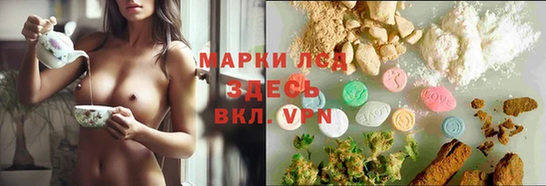 молекула духа Арсеньев