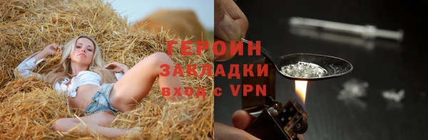 молекула духа Арсеньев