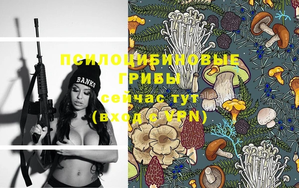 mix Аркадак