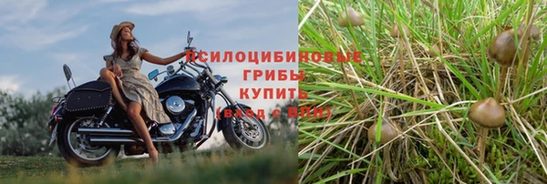 спиды Армянск