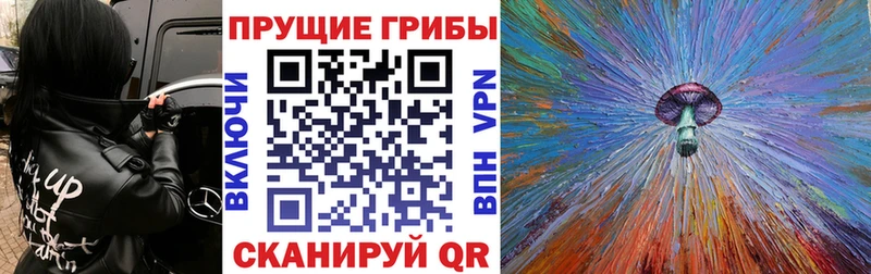 где продают наркотики  блэк спрут как войти  Галлюциногенные грибы MAGIC MUSHROOMS  Льгов 